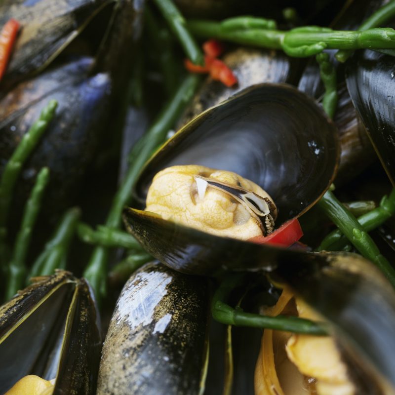 Steamed Black Mussels with samphire.